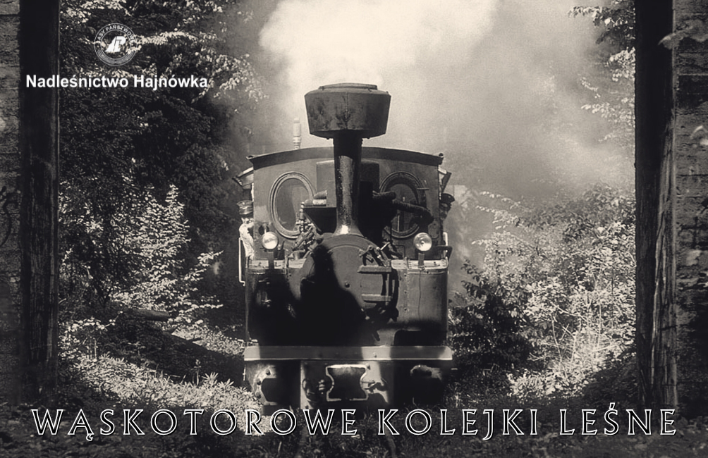 Wakacyjny przejazd kolejką z leśnikiem 28.08.2026 - 10:00